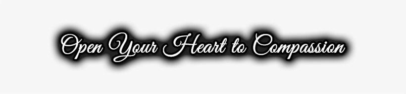 Loving Farm Is A Farmed Animal Sanctuary Located In - Animal Sanctuary, transparent png #2815075