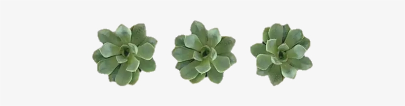 Related Wallpapers - Overlay Tumblr Transparent Green, transparent png #2815503