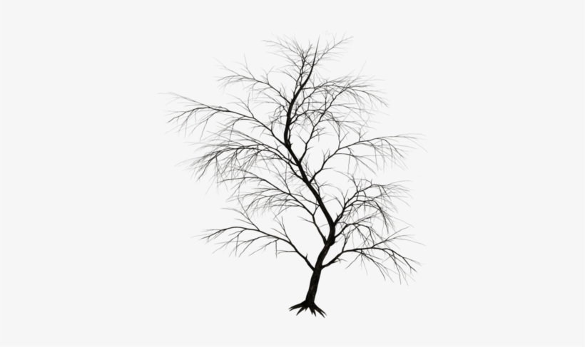 American Horror Story - กราฟ ฟิ ค กรอบ, transparent png #2815827