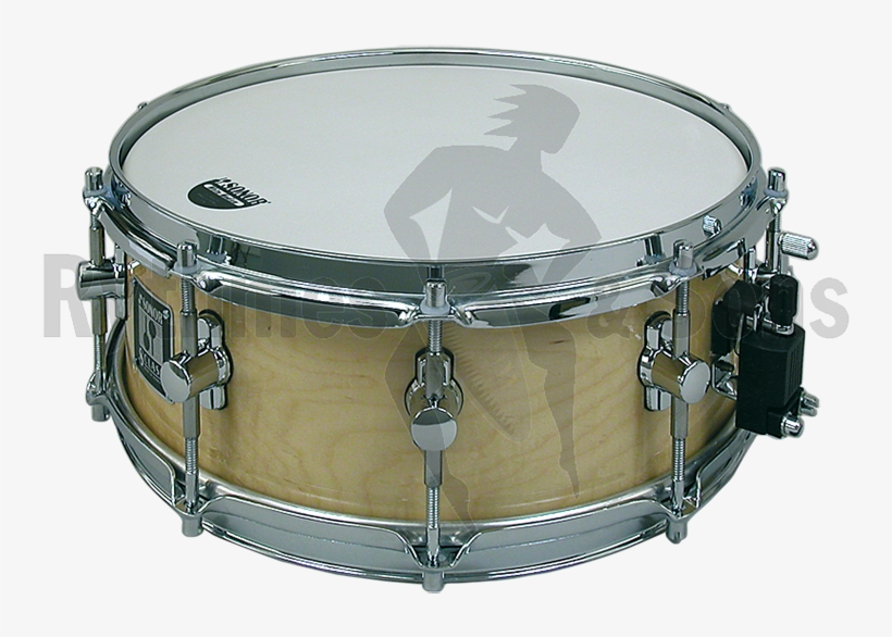 Sonor S Class Concert Maple Snare Drum - Drums, transparent png #2816148