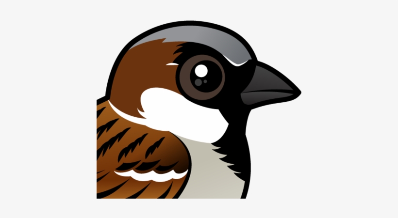 About The House Sparrow - Haus-spatz Grußkarte, transparent png #2817088