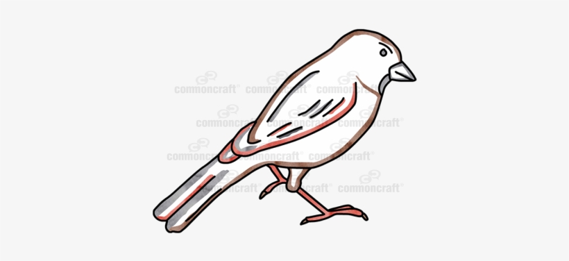 Sparrow Bird - Bird, transparent png #2817165