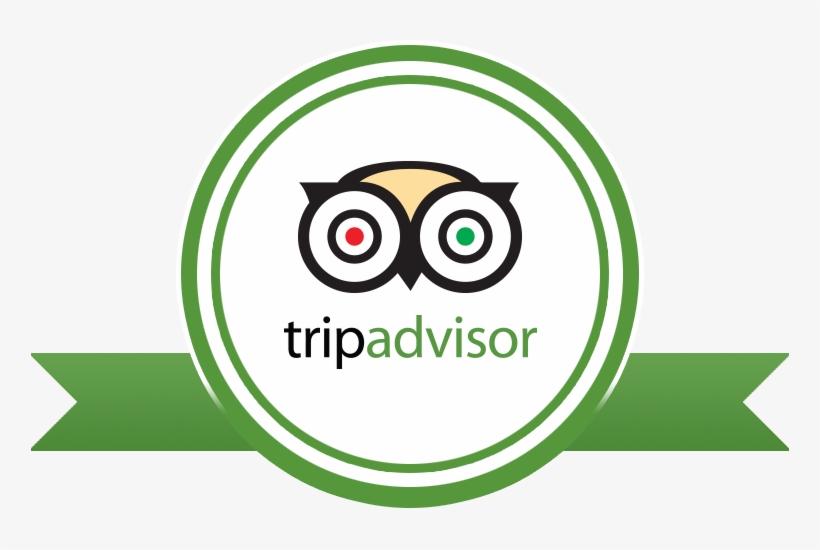 Divinespa Tripadvisor1 - Tripadvisor 2018 Certificate Of Excellence, transparent png #2817529
