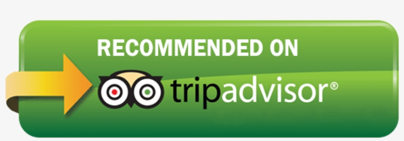 Tripadvisor-logo - Rate Us On Tripadvisor, transparent png #2817961