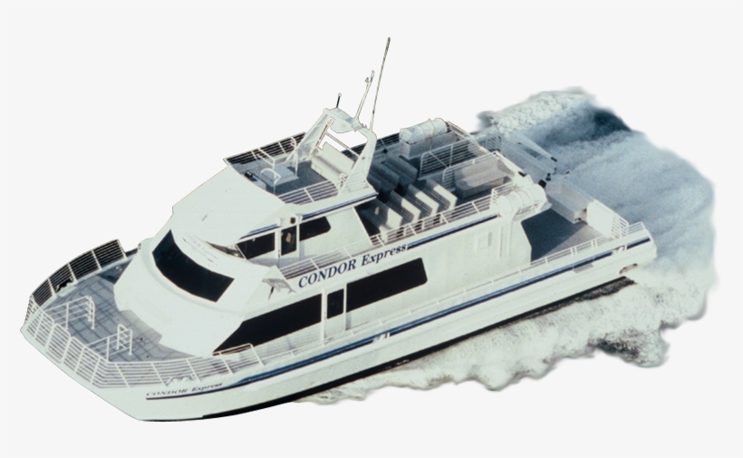 Whale Watching California, Santa Barbara Condor Express - Condor Express Whale Watching Coupons, transparent png #2818493