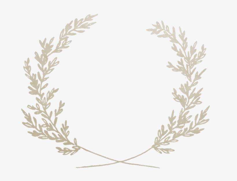 Ribbon - Photography, transparent png #2818654