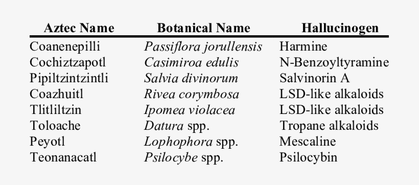 Some Hallucinogenic Plants Of Mesoamerica Used By The - Devyani, transparent png #2818994