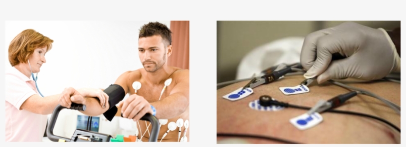 Ekg Technician, transparent png #2819974