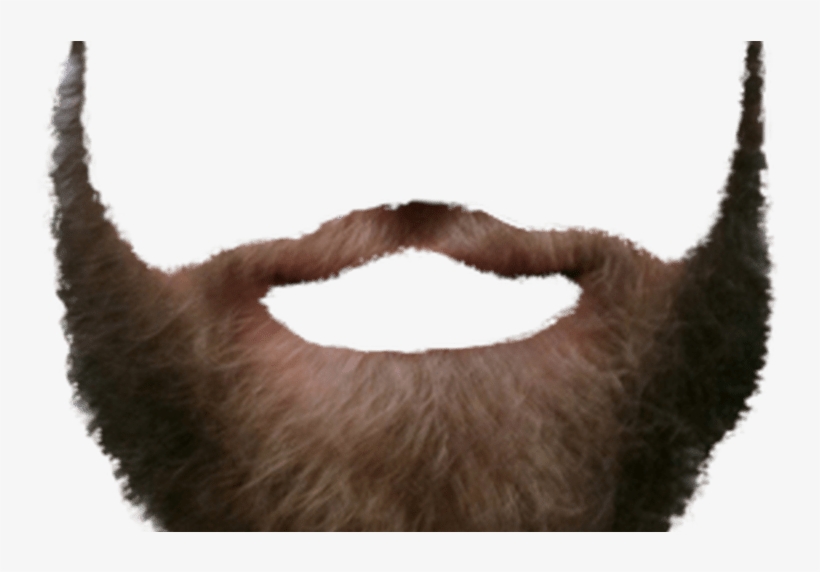 Beard Transparent Png Pictures Free Icons And Png - Portable Network Graphics, transparent png #2820437