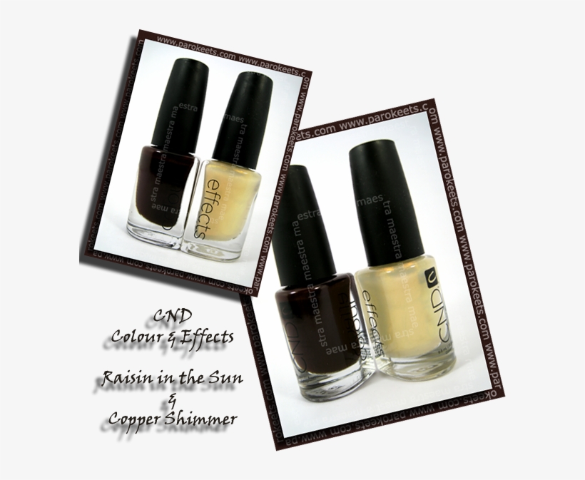 Colour Raisin In The Sun Effect Copper Shimmer - Health Effects Of Sunlight Exposure, transparent png #2821466