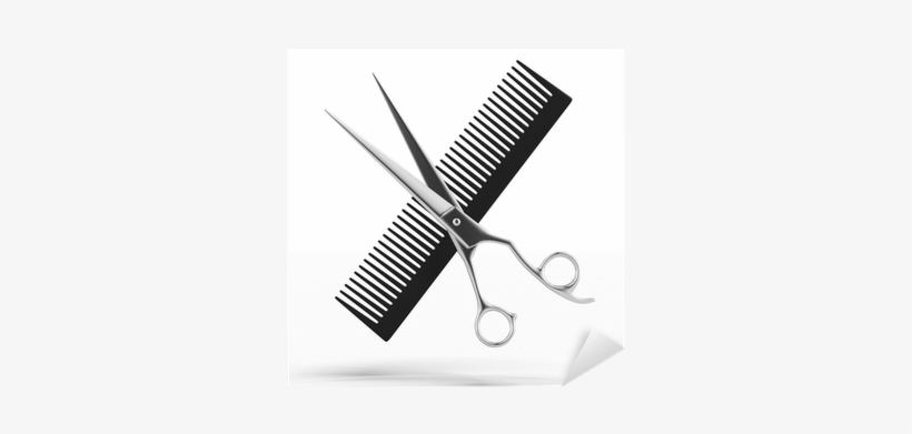 Dicesare By Michael Dicesare: Shampoo Brush, transparent png #2823882