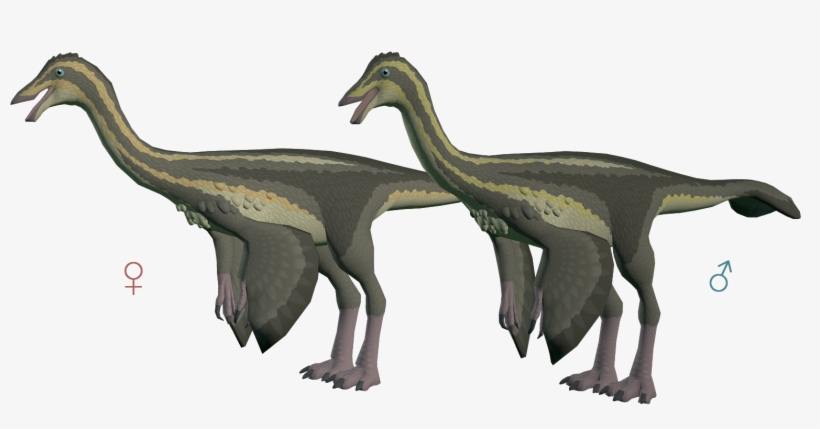 Duckling Gallimimus The Archotek Project - Gallimimus, transparent png #2825206