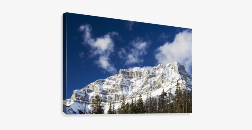 Snow Covered Mountain Peak With Evergreen Trees With - Posterazzi Snow Covered Mountain Peak With Evergreen, transparent png #2825363