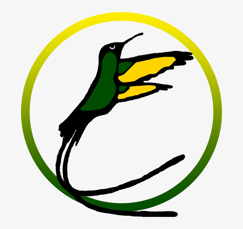 Jamaican Hummingbird Logo, transparent png #2827408