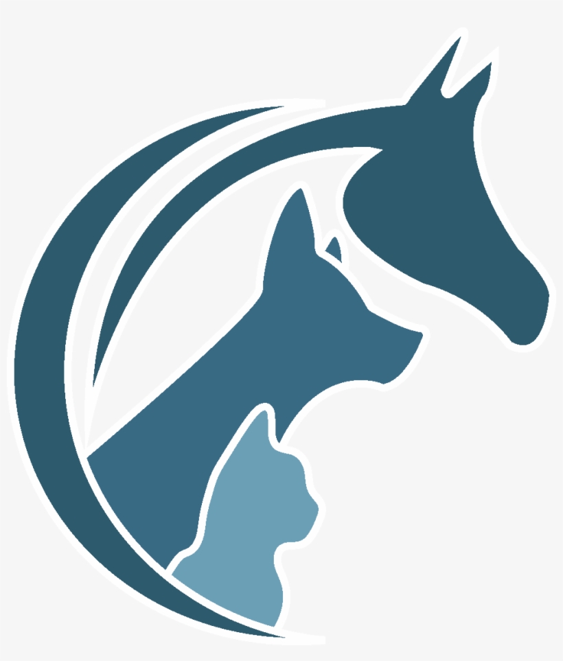 Veterinary Physician, transparent png #2828541