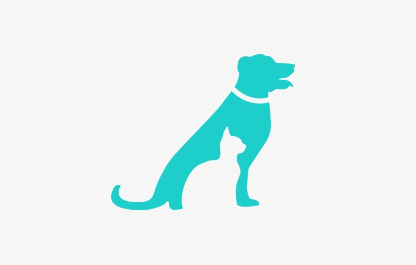 Pet Insurance Png, transparent png #2828622