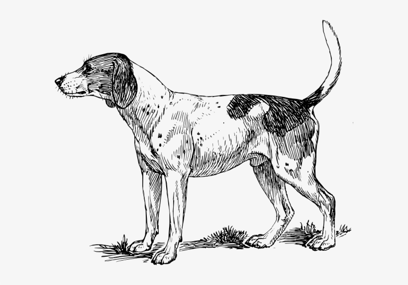 How To Set Use Hound Dog Svg Vector, transparent png #2829078