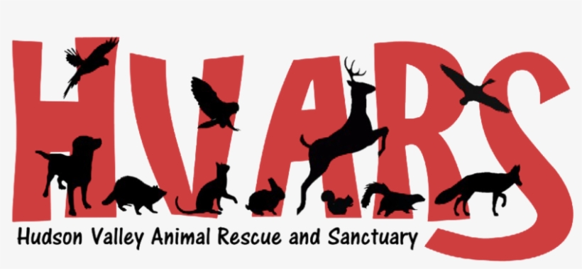 Hvars Logo - Poster, transparent png #2829248