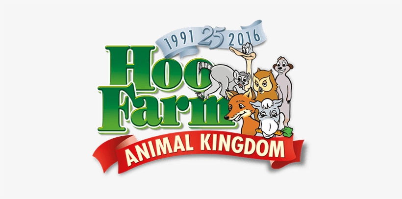 Big Cats Twitter - Meerkat Experience Hoo Farm, transparent png #2829274