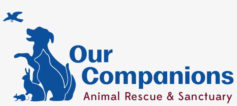 Updated Logo No Stroke - Our Companions, transparent png #2829293