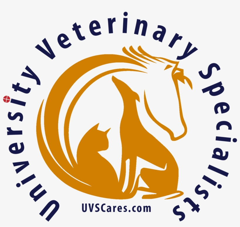 Veterinary Excellence - Vector Graphics, transparent png #2829316