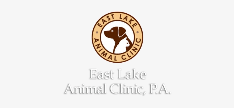 East Lake Animal Clinic - Cornell University Seal, transparent png #2829340
