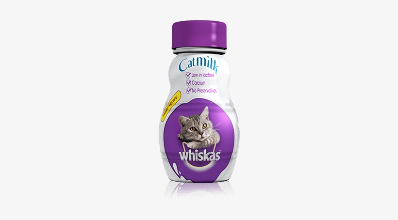 Whiskas® Milk For Cats 200ml - Whiskas Milk, transparent png #2829359