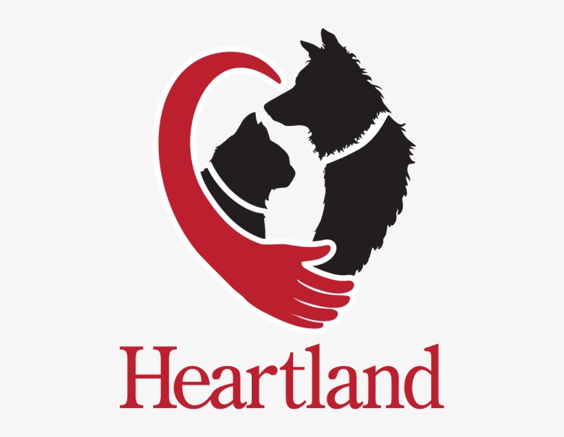 Heartland Animal Hospital - Heartland Animal Hospital Wichita, transparent png #2829401