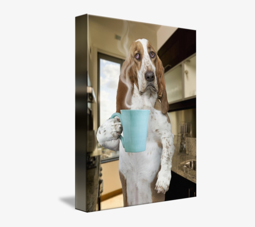 "morning Coffee Basset Hound" By John Lund, - Basset Hounds And Coffee, transparent png #2829417
