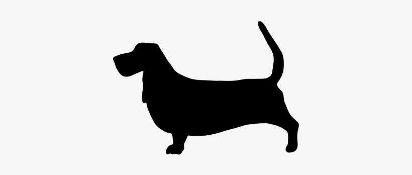 S557851569677190740 P251 I1 W640 - Frog Studio Home Basset Hound Dog Leash, transparent png #2829617