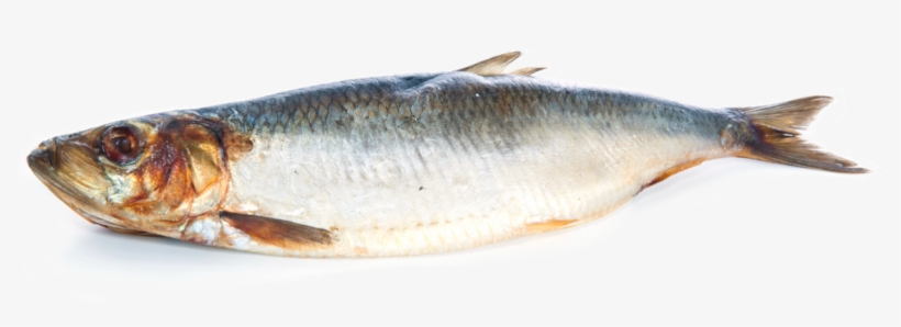 Hiphop Dance Silhouette Png - Coregonus Lavaretus, transparent png #2830147