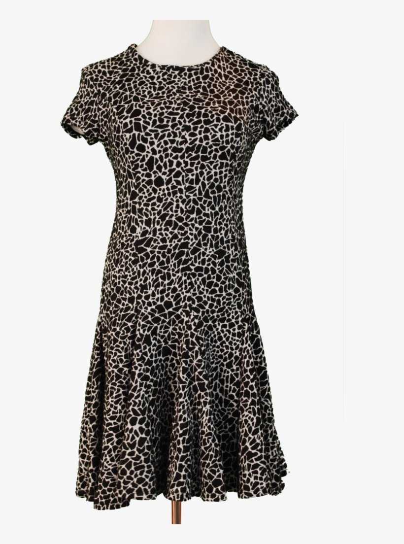 Calvin Klein 6p 119 - Lace, transparent png #2831229