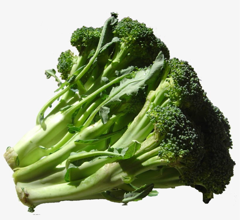 Broccoli Dsc00862 - Potassium Meaning, transparent png #2831744
