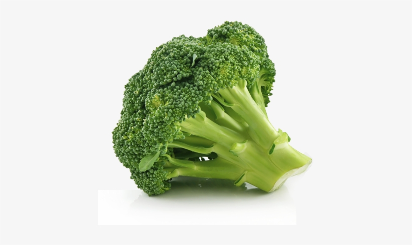 Postulez En Ligne - Broccoli, transparent png #2831785