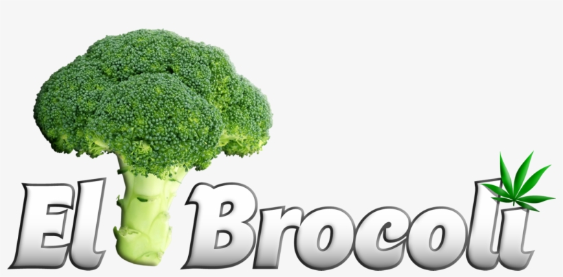 Clic Aquí Para Ir A Psiconautas - F & V - Broccoli Design Round Ornament, transparent png #2832007