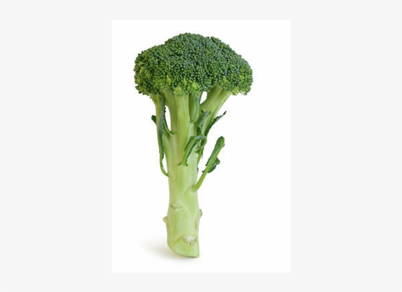 Brocoli-fw - Food, transparent png #2832109