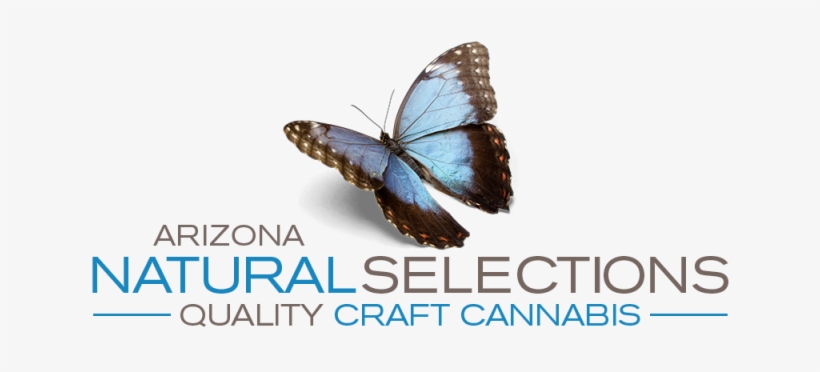 The Medical Marijuana Program Is In Jeopardy And We - Gioconda By Lucille Turner, transparent png #2832153