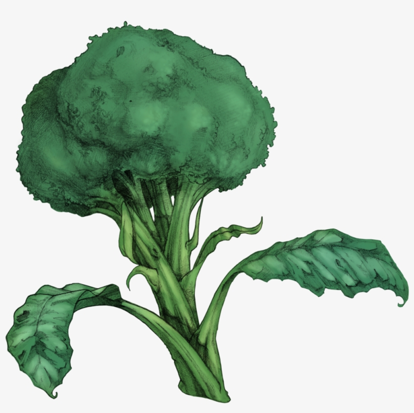 Prev / Next, transparent png #2832180