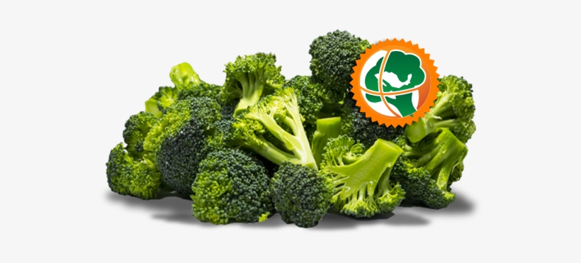 Florete-brocoli - Foil, transparent png #2832219