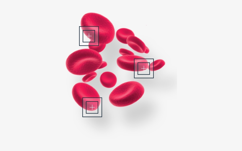 Computer Vision Instead Of Traditional Coulter Counting - Red Blood Cell, transparent png #2832383