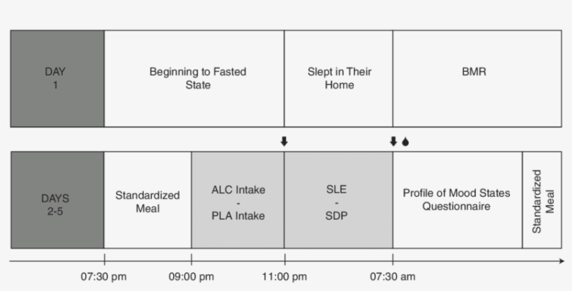 Black Arrow, Brac Measurement - Number, transparent png #2832457