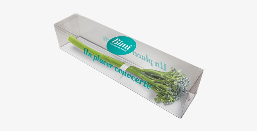 Brocoli Bimi Destacado Compralo Tr - Comprar Bimi, transparent png #2832677