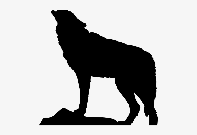 Gray Wolf PNG Transparent Images Free Download