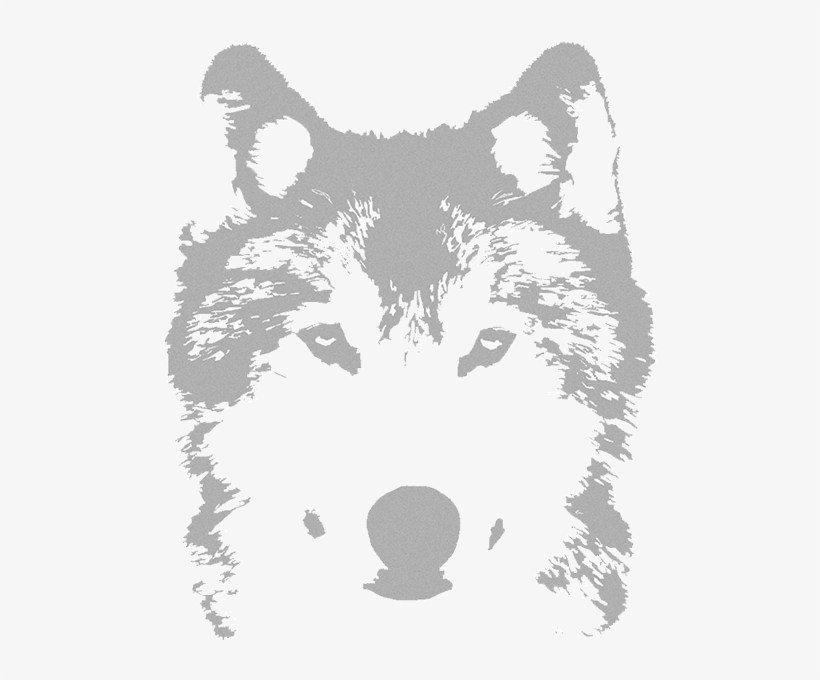Wolfvpro Background - Graffiti Wolf, transparent png #2833468