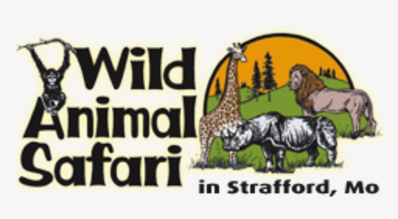 Wild Animal Safari - Wild Animal Safari Springfield Mo, transparent png #2833830