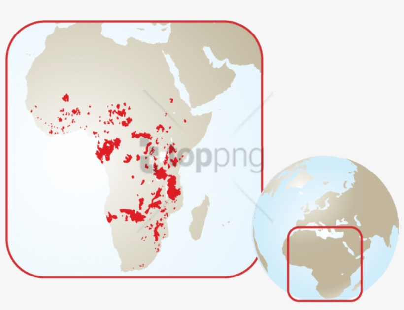Animals Menu - African Elephant Habitat, transparent png #2833855