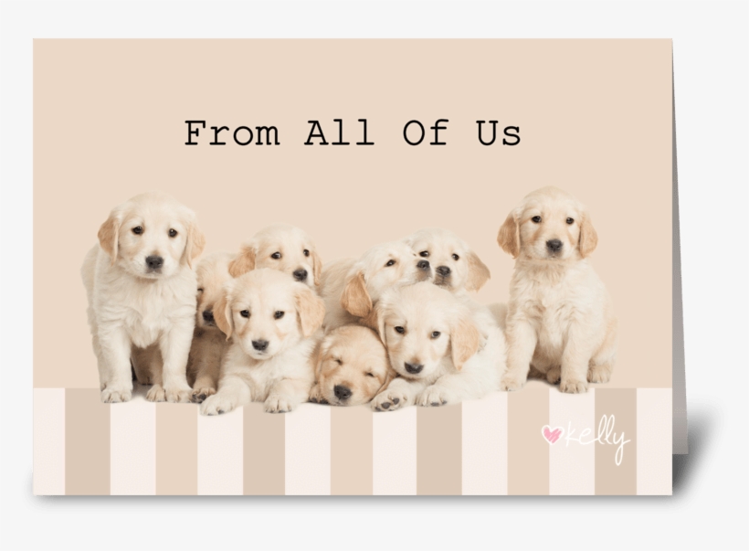 Golden Retriever Puppies From All Of Us Greeting Card - Golden Retriever, transparent png #2833990