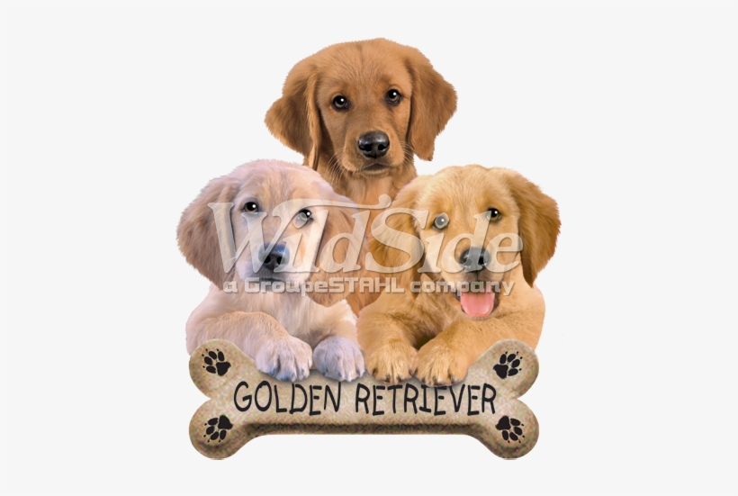 Golden Retriever Biscuit - Magnetic Golf Ball Marker Hat Clip Golden Retreivers, transparent png #2834019