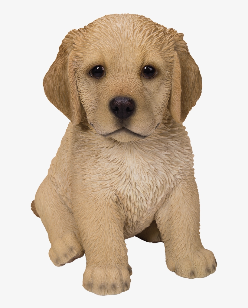 Cute Fluffy Golden Retriever Puppy Statue Life Like - Dog, transparent png #2834021