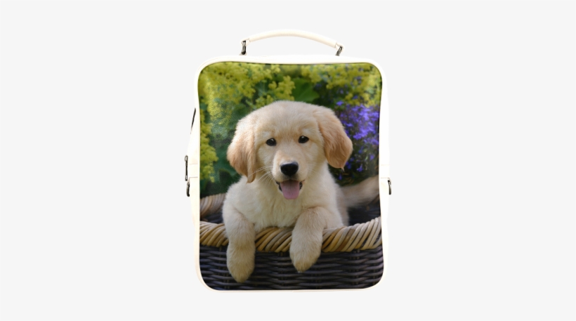 Cute Young Golden Retriever Dog Goldie Puppy Portrait - Coque Iphone Se Anilaux, transparent png #2834061